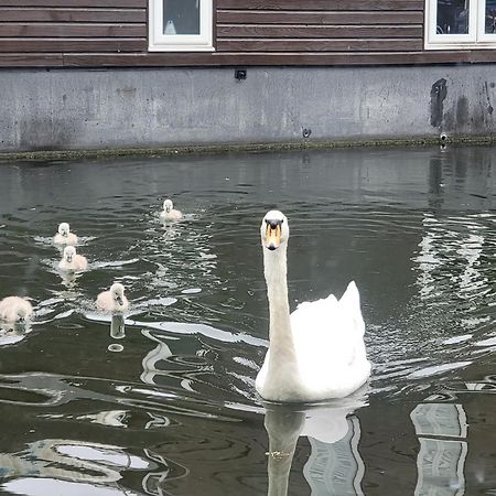 Lovely Canal Boat In Little Venice For Family & Friends Londra Exterior foto